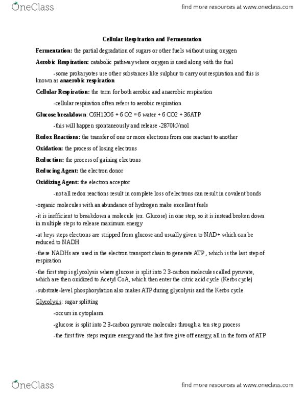 BIOL 1103 Chapter Notes - Chapter 9: Electronegativity, Intermembrane Space, Fumaric Acid thumbnail