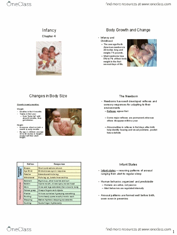 HDFS 211 Lecture Notes - Lecture 3: Central Nervous System, Visual Acuity, Strabismus thumbnail