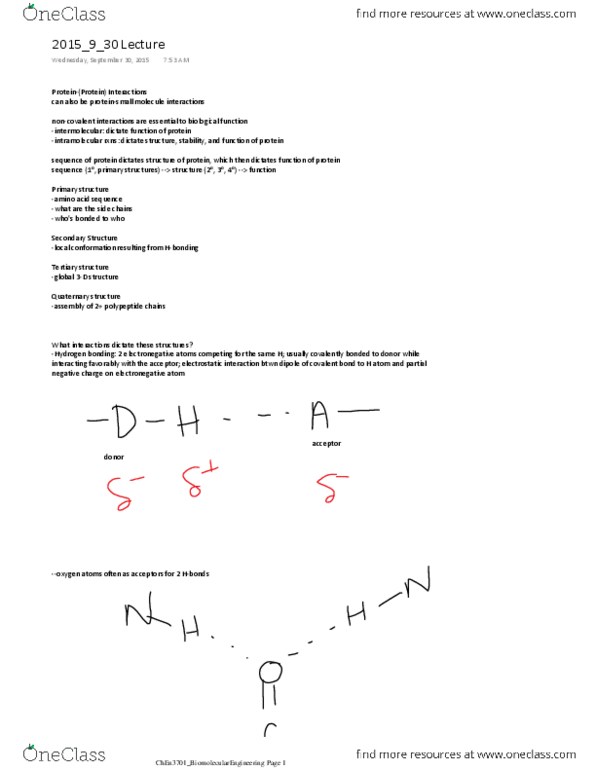 CHEN 3701 Lecture Notes - Lecture 13: Van Der Waals Radius, X-Ray Crystallography, Hydrogen Bond thumbnail