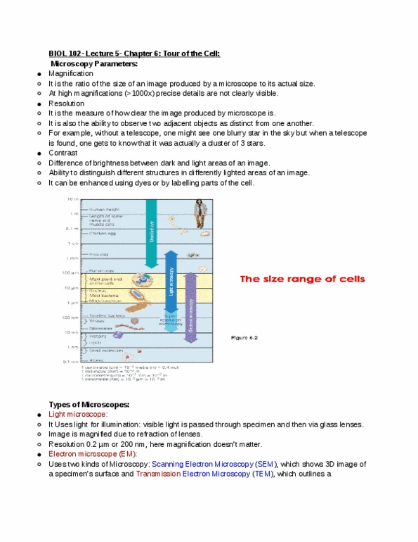 BIOL 102 Lecture Notes - Lecture 5: Scanning Electron Microscope, Electron Microscope, Optical Microscope thumbnail