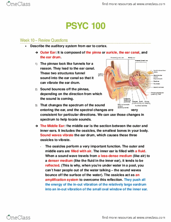 PSYC 100 Lecture Notes - Lecture 10: Basilar Membrane, Cochlea, Tonotopy thumbnail