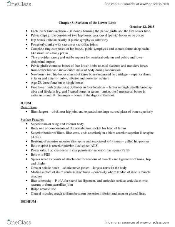 KINE 1650 Chapter Notes - Chapter 8: Ischial Tuberosity, Sesamoid Bone, Malleolus thumbnail