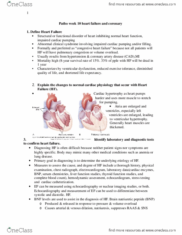 PAT 20A/B Lecture Notes - Lecture 10: Cardiac Stimulant, Vasoconstriction, Cyclic Adenosine Monophosphate thumbnail