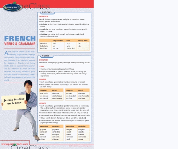 French Verb and Grammar - Reference Guides thumbnail