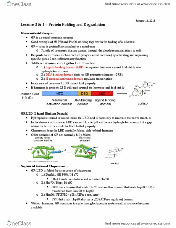 BIOC 212 Lecture Notes - Lecture 3: Ubiquitin Ligase, Acetyltransferase, Histidine thumbnail