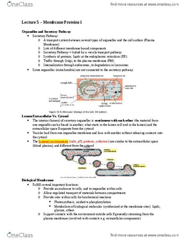 BIOC 212 Lecture Notes - Lecture 5: Phosphatidylcholine, Hydrophobe, Nuclear Membrane thumbnail