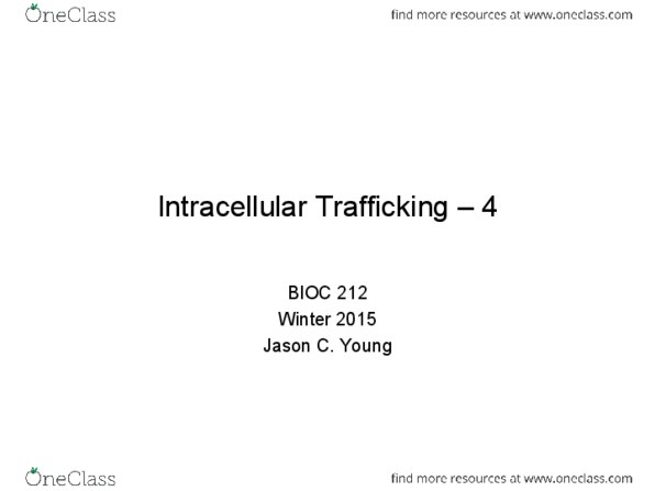 BIOC 212 Lecture Notes - Lecture 9: Secretion, Membrane Transport, Cytosol thumbnail