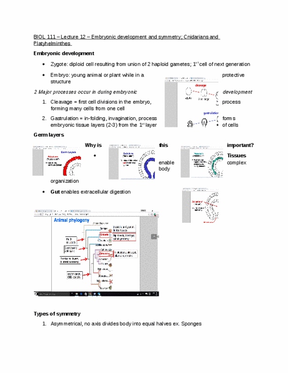 BIOL 111 Lecture Notes - Lecture 12: Monogenea, Sexual Reproduction, Diploblasty thumbnail