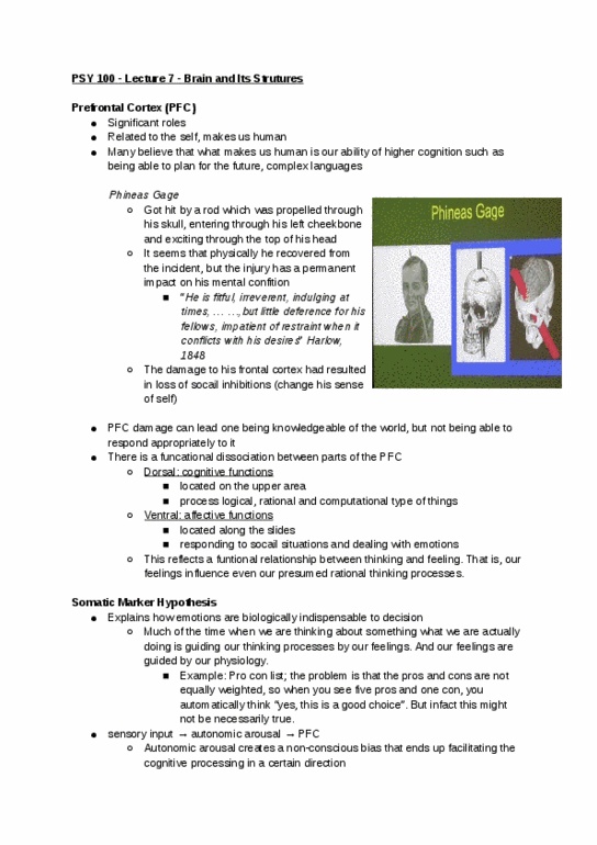 PSY100H1 Lecture Notes - Lecture 7: Phineas Gage thumbnail