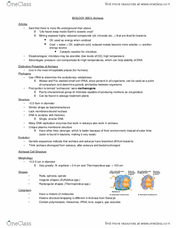 BIOLOGY 2EE3 Lecture 4: 4- Archaea thumbnail