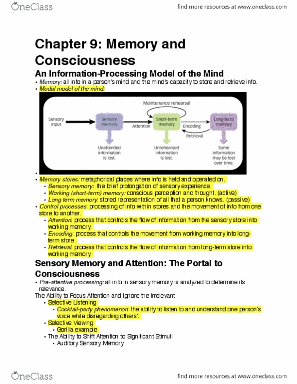 PSYCH 1 Chapter Notes - Chapter 9: Long-Term Memory, Sensory Memory, Anterograde Amnesia thumbnail