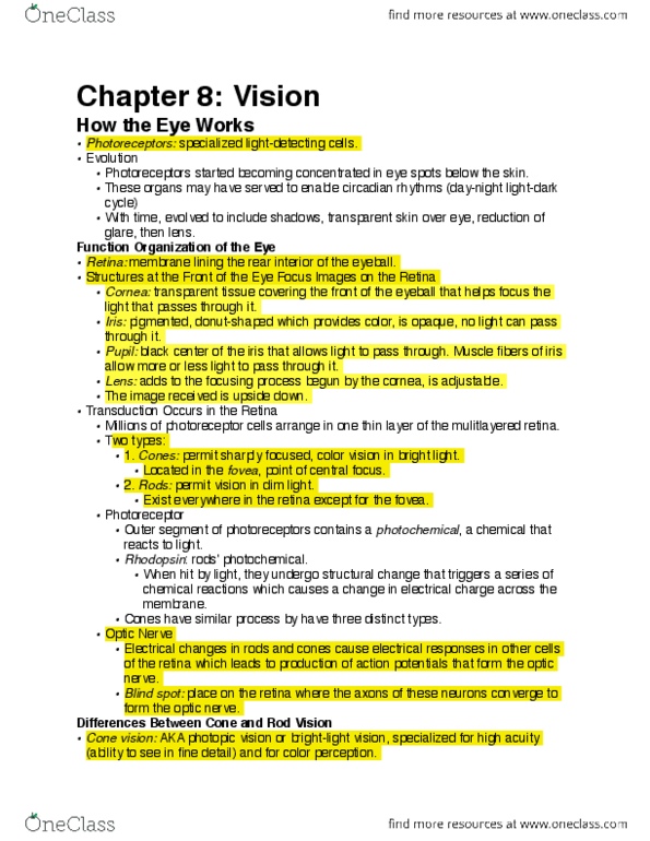 PSYCH 1 Chapter Notes - Chapter 8: Photopic Vision, Circadian Rhythm, Color Vision thumbnail