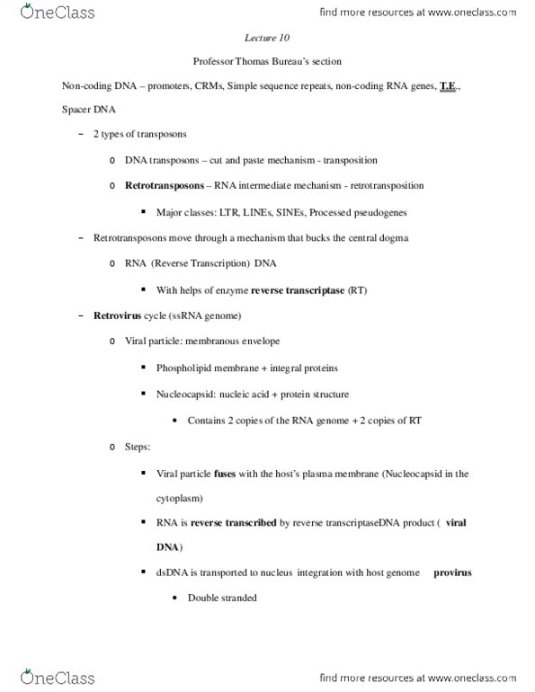 BIOL 200 Lecture Notes - Lecture 10: Non-Coding Rna, Reverse Transcriptase, Provirus thumbnail