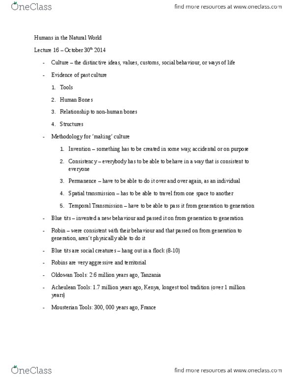 BIOL 1500 Lecture Notes - Lecture 16: Oldowan, Acheulean, Mousterian thumbnail