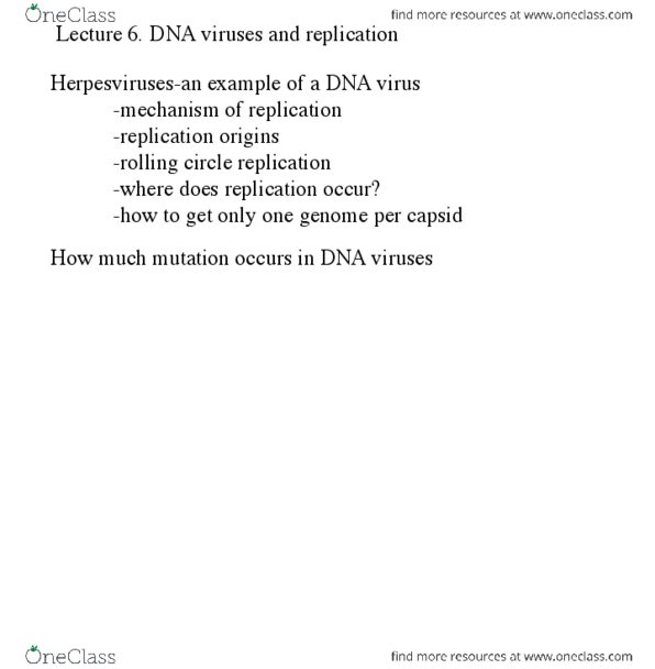 IMIN200 Lecture Notes - Lecture 6: Rna-Dependent Rna Polymerase, Rolling Circle Replication, Reverse Transcriptase thumbnail