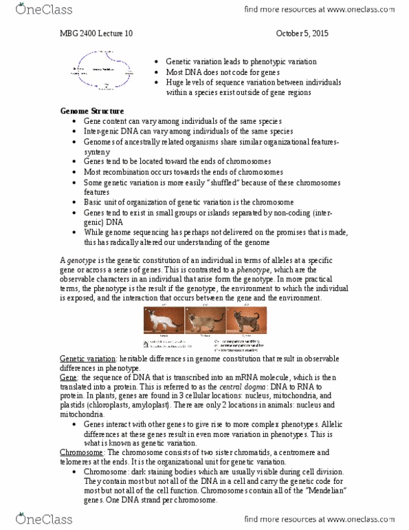 MBG 2400 Lecture Notes - Lecture 10: Epigenetics, Acetyl Group thumbnail