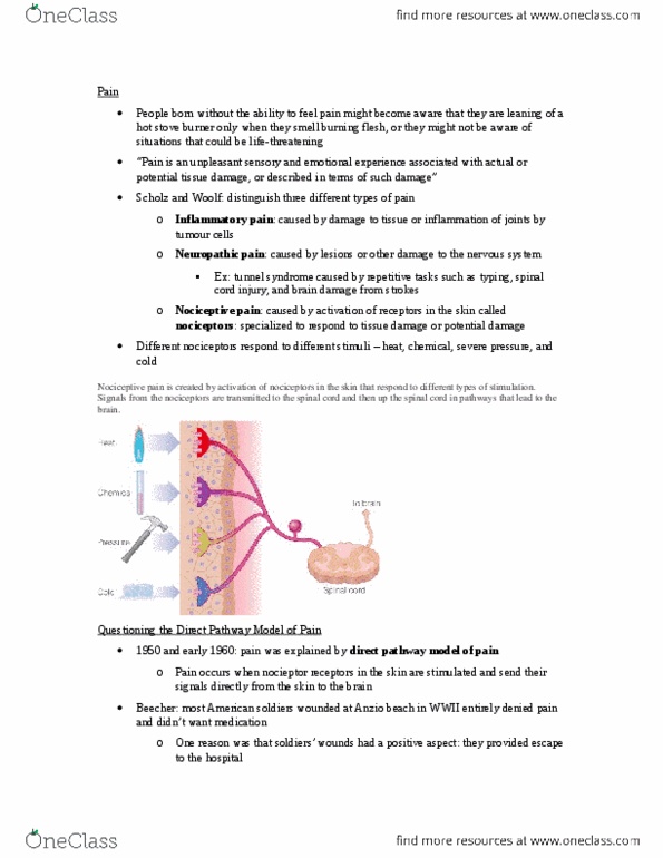 PSYC 369 Chapter Notes - Chapter 14: Nociceptor, Endorphins, Mechanoreceptor thumbnail