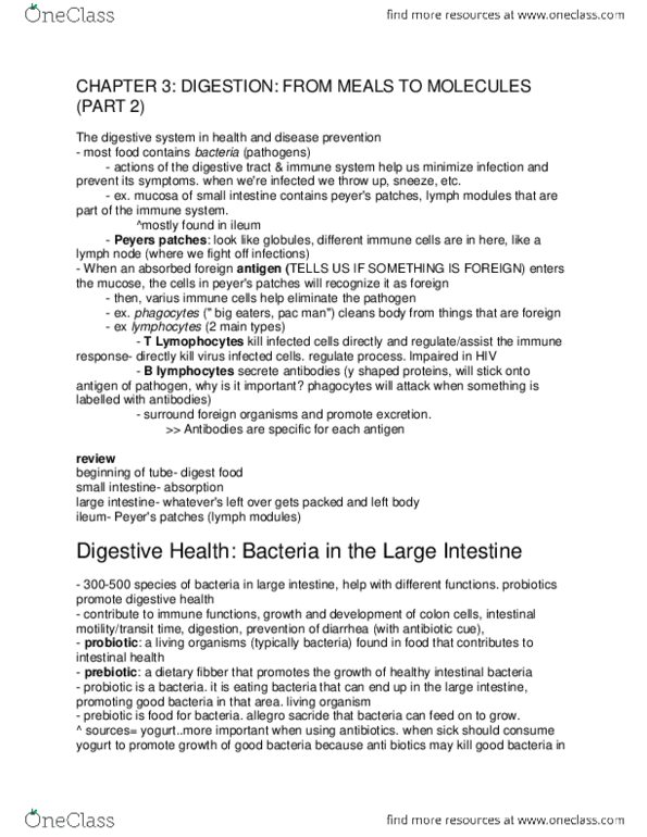 BPK 110 Lecture Notes - Lecture 3: Lymph Node, Probiotic, Ileum thumbnail