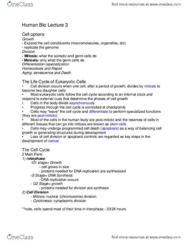 HSCI 100 Lecture Notes - Lecture 3: Dna Replication, Cell Division, Apoptosis thumbnail