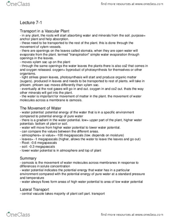 BISC 101 Lecture Notes - Lecture 7: Water Potential, Xylem, Green Leaves thumbnail