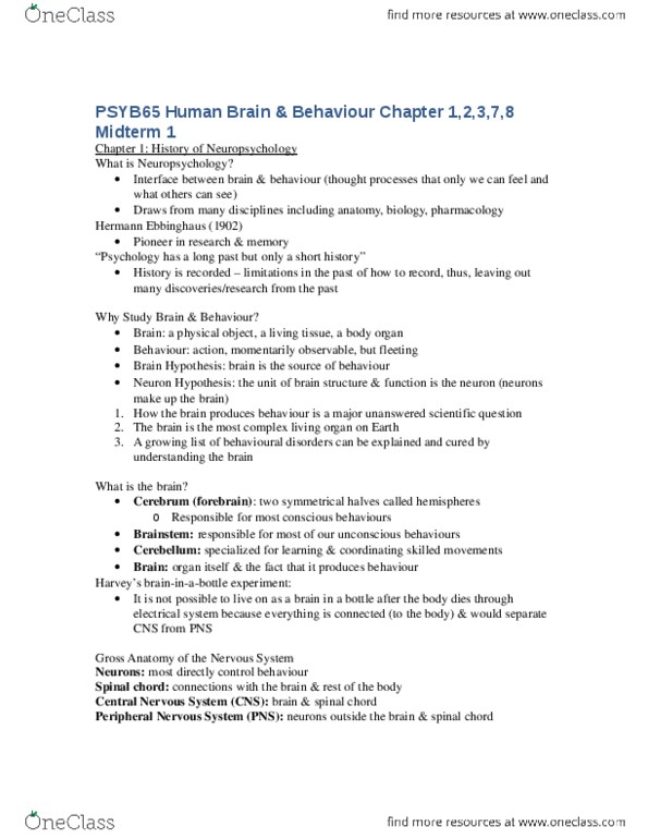 PSYB65H3 Lecture Notes - Lecture 1: Peripheral Nervous System, Central Nervous System, Cranial Nerves thumbnail