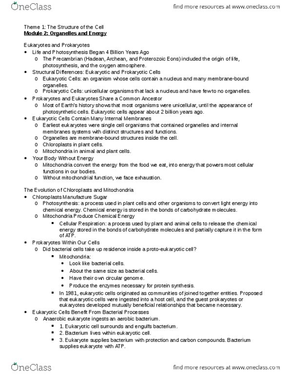 BIOLOGY 1A03 Lecture Notes - Lecture 2: Chemical Energy, Archean, Hadean thumbnail