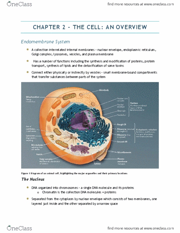 document preview image