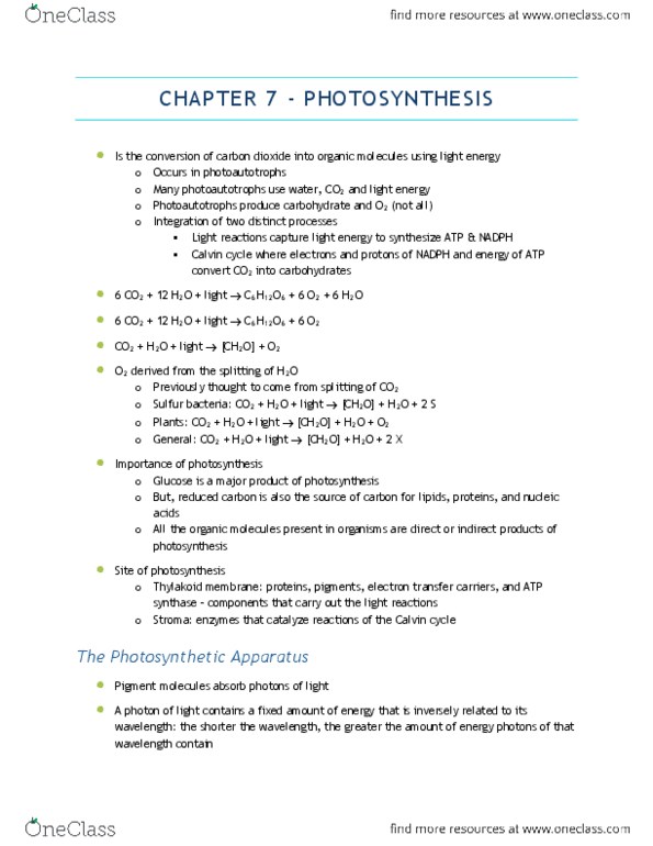 BIOA01H3 Chapter Notes - Chapter 7: Oxidative Phosphorylation, Ribulose, Carbonic Anhydrase thumbnail