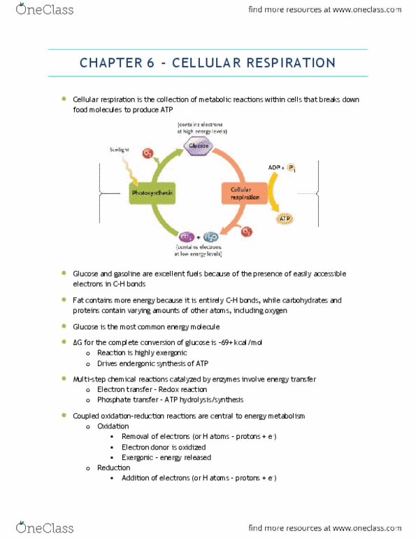 BIOA01H3 Chapter 6: Cellular Respiration thumbnail