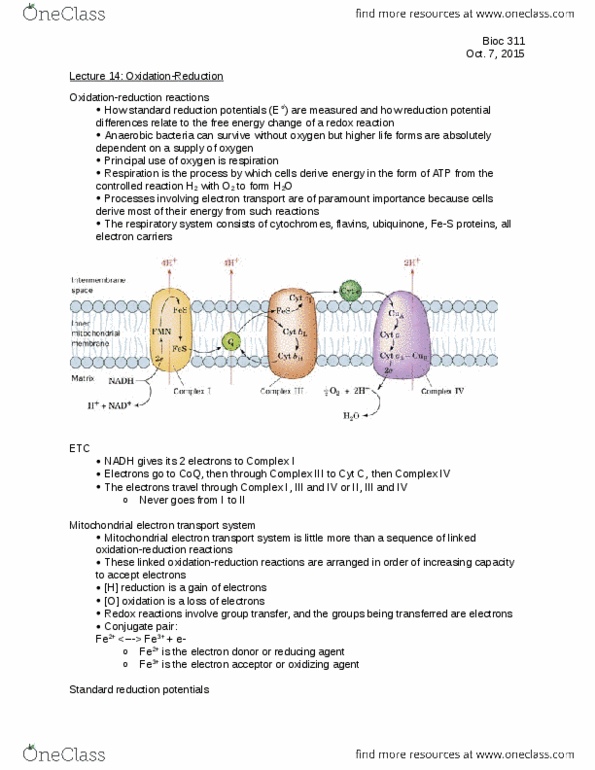 BIOC 311 Lecture Notes - Lecture 14: Nadh Dehydrogenase, Succinic Acid, Malic Acid thumbnail