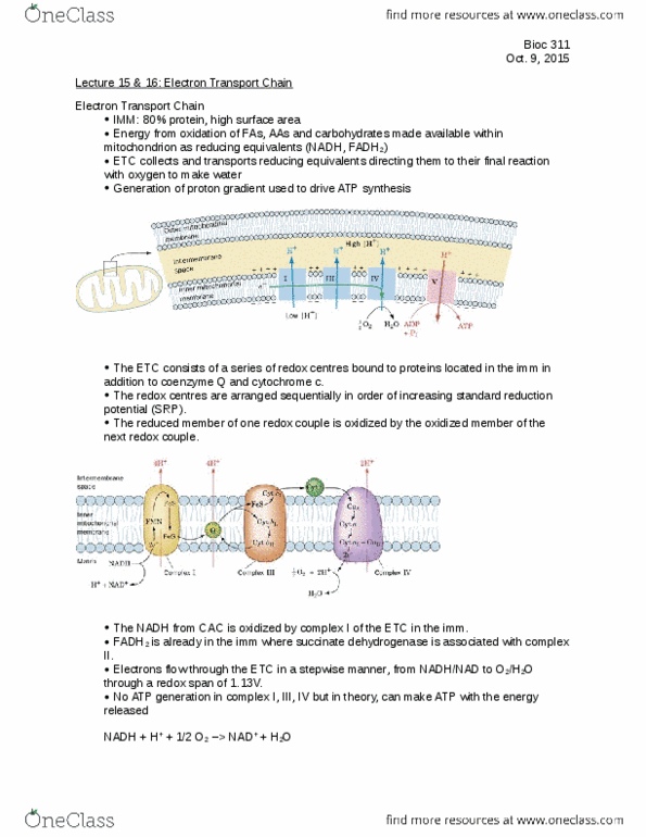 BIOC 311 Lecture Notes - Lecture 15: Succinic Acid, Hydroquinone, Nadh Dehydrogenase thumbnail