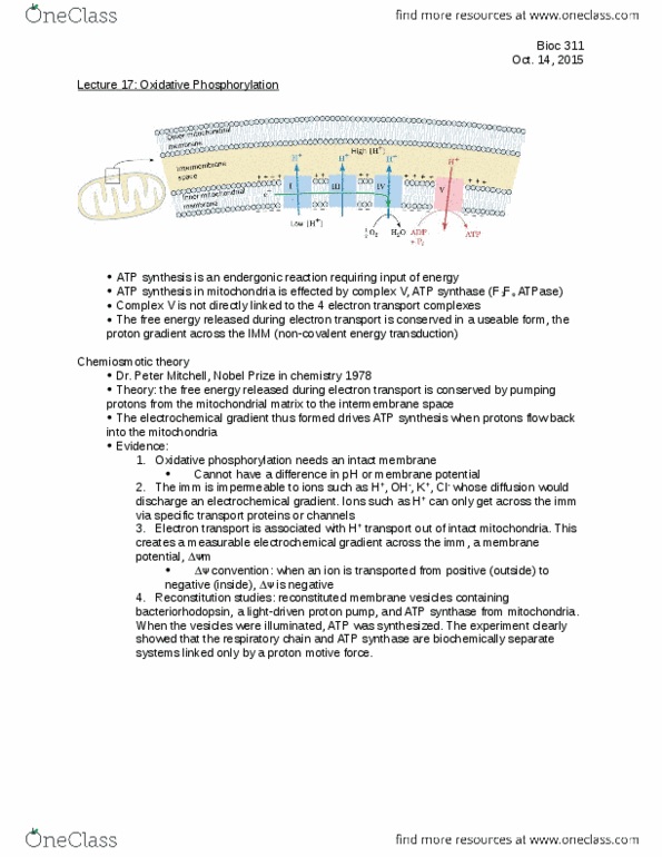 BIOC 311 Lecture 17: Oxidative Phosphorylation thumbnail