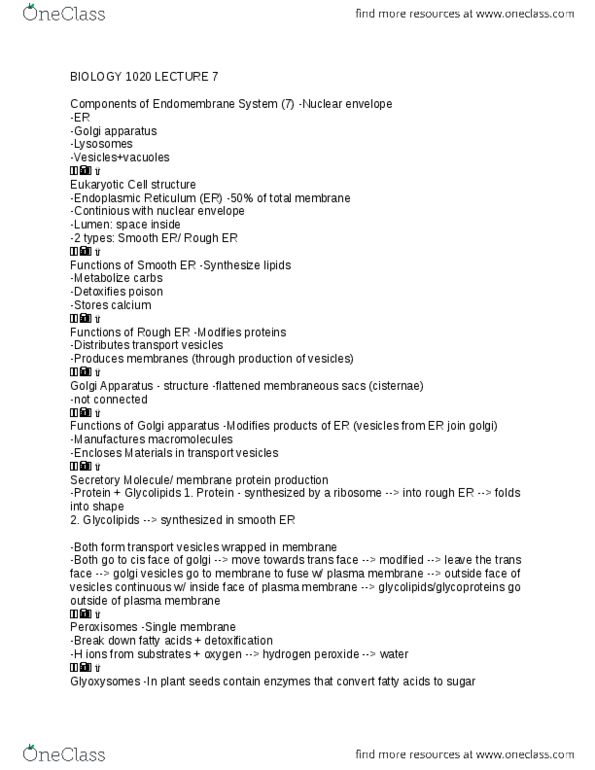 BIOL 1020 Lecture Notes - Lecture 7: Plant Cell, Cell Wall, Phagocytosis thumbnail