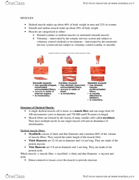 PHGY 210 Chapter Notes - Chapter 5: Cardiac Muscle, Smooth Muscle Tissue, Myofibril thumbnail