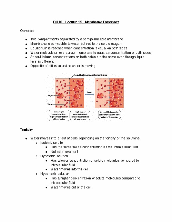 BI110 Lecture Notes - Lecture 15: Symporter, Active Transport, Aquaporin thumbnail