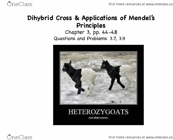 BIOL 1090 Lecture Notes - Lecture 5: Dihybrid Cross, Mendelian Inheritance, Gamete thumbnail