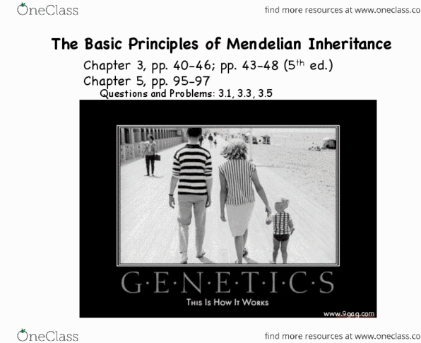 BIOL 1090 Lecture Notes - Lecture 4: Mendelian Inheritance, Ploidy, Gamete thumbnail