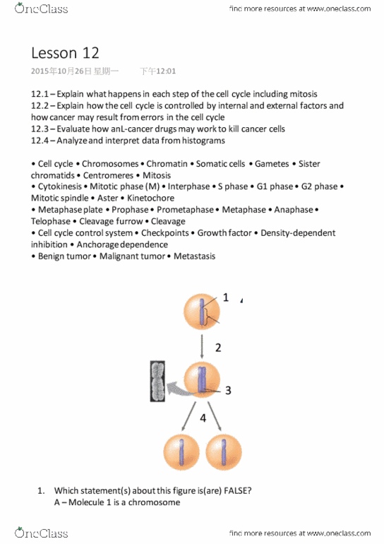 BIO SCI 93 Lecture Notes - Lecture 12: Formins, Nuclear Membrane, Microtubule thumbnail