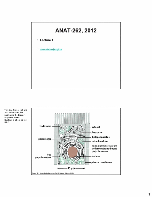 ANAT 262 Lecture Notes - Isoprene, Peroxisome, Nup98 thumbnail