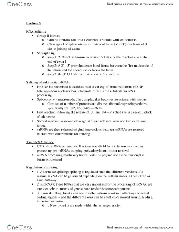 BIOB11H3 Lecture Notes - Lecture 5: Hydrolysis, Small Interfering Rna, Peptide Synthesis thumbnail