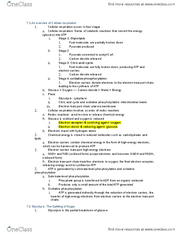 BIOL2000 Lecture Notes - Lecture 16: Blood Sugar, Atp Synthase, Glyceraldehyde thumbnail