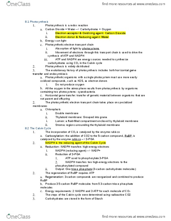 BIOL2000 Lecture Notes - Lecture 15: Ferredoxin, Plastoquinone, Thylakoid thumbnail