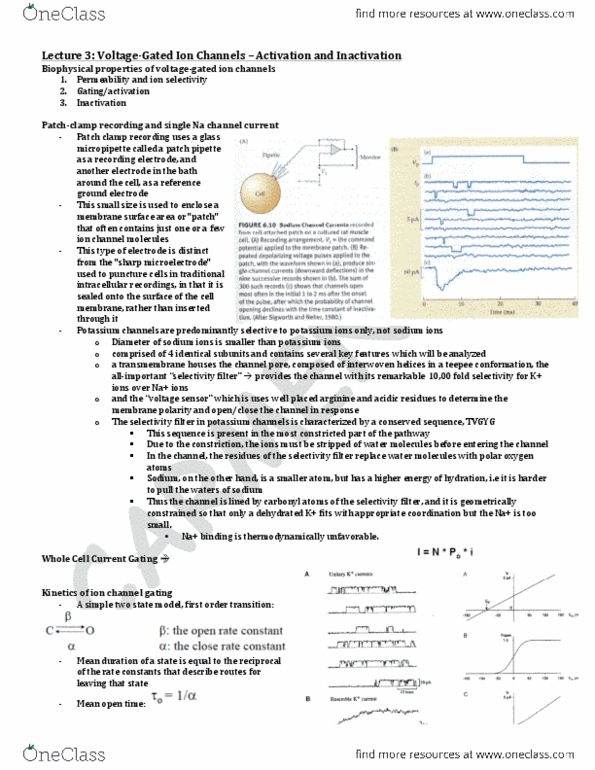 PSL452H1 Lecture Notes - Lecture 3: Kcna4, European Route E6, Alanine thumbnail