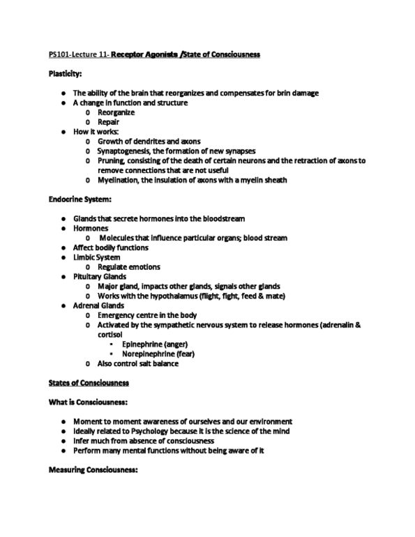 PS101 Lecture Notes - Lecture 11: Seasonal Affective Disorder, Pineal Gland, Alpha Wave thumbnail