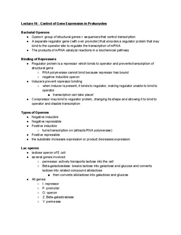 BSCI 222 Lecture Notes - Lecture 16: Antisense Rna, Osmotic Concentration, Palindromic Sequence thumbnail