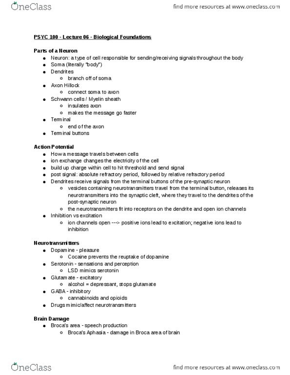 PSYC 100 Lecture Notes - Lecture 6: Axon Terminal, Myelin, Parietal Lobe thumbnail