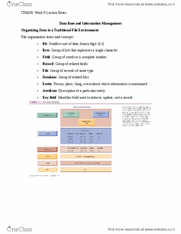 ITM 100 Lecture Notes - Lecture 6: Software Architecture, Data Redundancy, Data Manipulation Language thumbnail