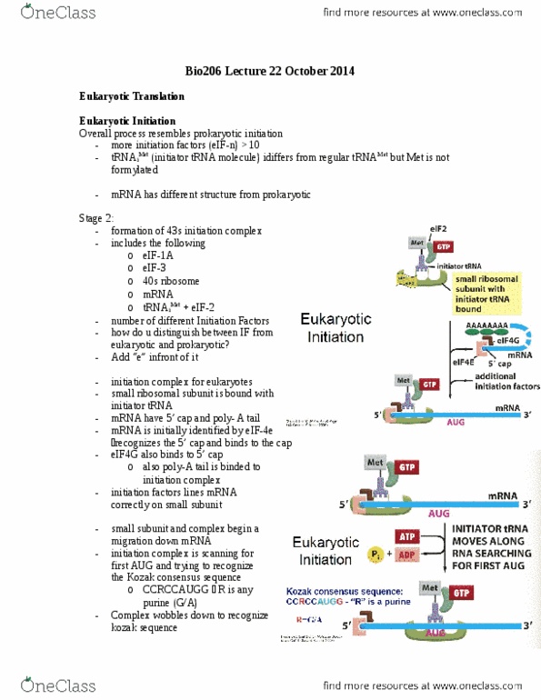 BIO206H5 Lecture 13: Bio206 Lecture 22 October 2014 thumbnail