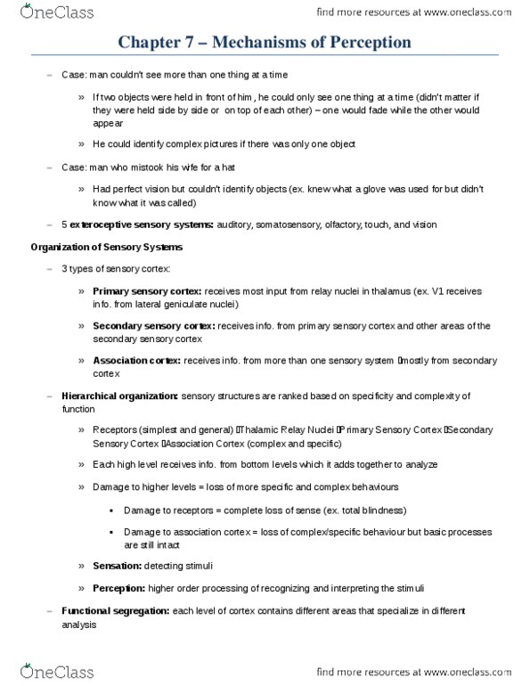 PSYCO275 Chapter Notes - Chapter 7: Prefrontal Cortex, Neuroglia, Glossopharyngeal Nerve thumbnail