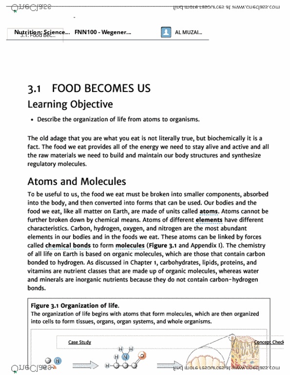 FNN 100 Chapter Notes - Chapter 3.1: Testicle, Endocrine System, Inta thumbnail